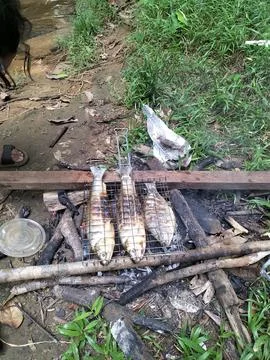 Simple grilled fish. Stock Photos