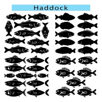 Simple Haddock vector illustration, Haddock silhouette in white background Ilustración de archivo