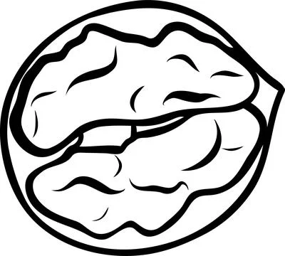 Simple half walnut vector icon, black and white hand-drawn icon, doodle and.. Stock Illustration