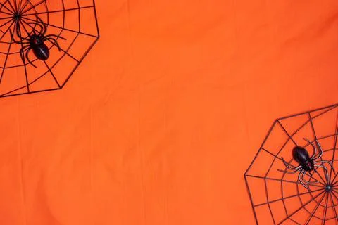 Simple halloween background decorated spiderweb Stock Photos