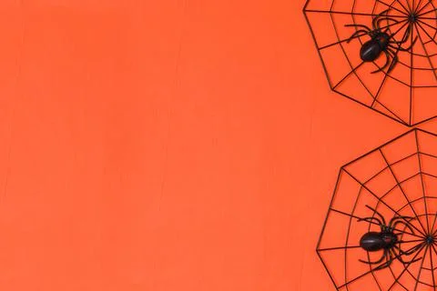 Simple halloween background decorated spiderweb Stock Photos