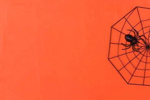 Simple halloween background decorated spiderweb Stock Photos