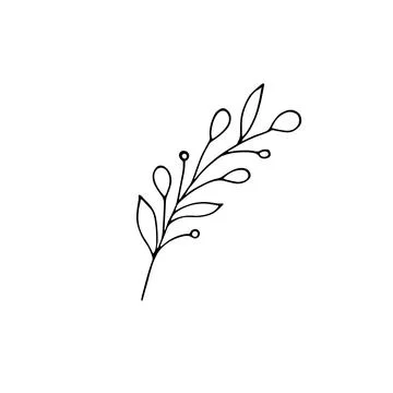 A simple hand-drawn botanical element. Grass twig Doodle-style minimalist b.. Stock Illustration