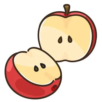 Simple hand drawn cut apple illustration Stock Illustration