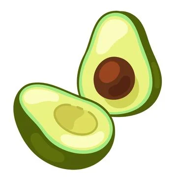 Simple hand drawn cut avocado illustration flat colored Stock Illustration