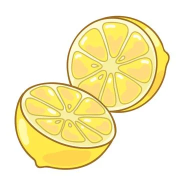 Simple hand drawn cut lemon illustration Stock Illustration