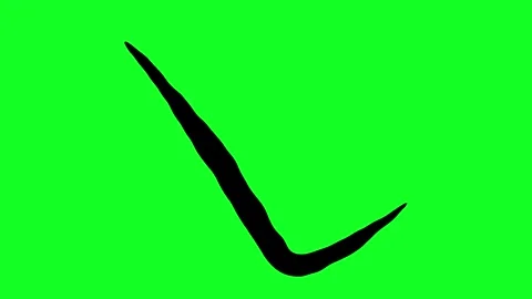 Simple hand-drawn icon graphic animation on a green background. Stock Footage 312357921