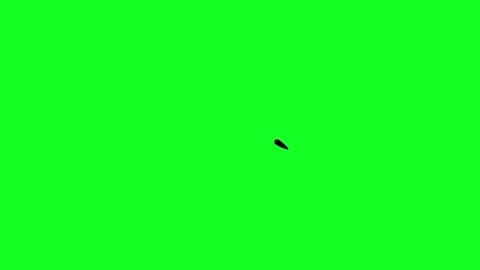Simple hand-drawn icon graphic animation on a green background. Stock Footage 312357943
