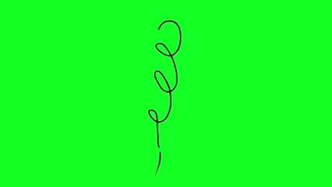 Simple hand-drawn icon graphic animation on a green background. Stock Footage 312357951