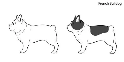 Simple hand drawn line art illustration of French Bulldog in side view Stock Illustration