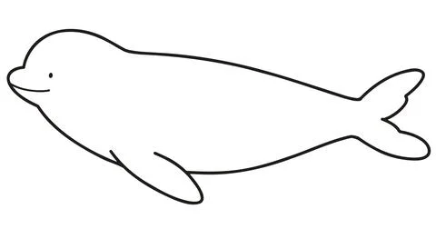 Simple hand drawn line art of a cute Beluga Whale Stock Illustration