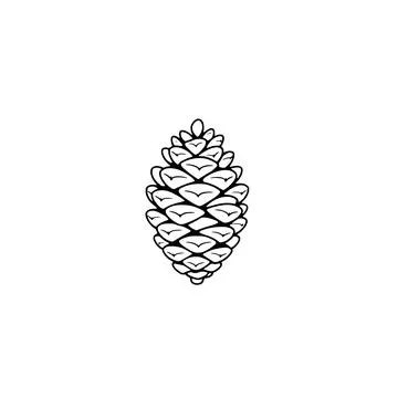 Simple Hand Drawn Pine Cone Isolated On White Background Stock Illustration
