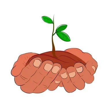 Simple Hand hold or bring bud sprout small plant with 3 fresh green leaf, i.. Stock Illustration