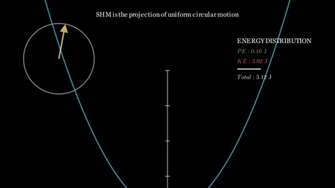 Simple Harmonic Motion 스톡 동영상 335035776