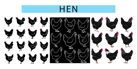 Simple Hen vector illustration, Hen clipart vector Stock Illustration