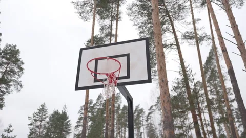 Simple hoop amidst cloudy sky and winter pine forest Stockbeeldmateriaal 314653166
