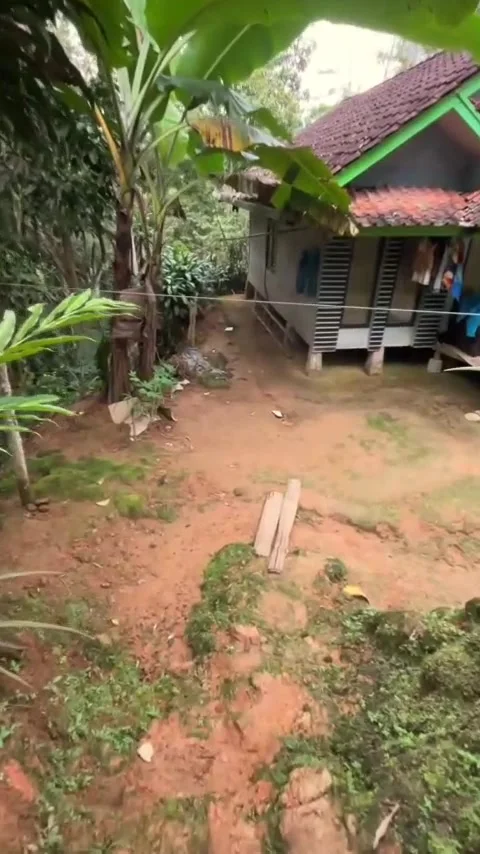 Simple house in the village Stock Footage 307366232