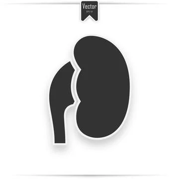 Simple icon of human kidneys. Stock Illustration