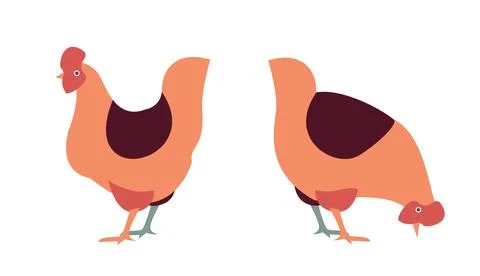 Simple illustrated hens standing in different pose Stock Illustration