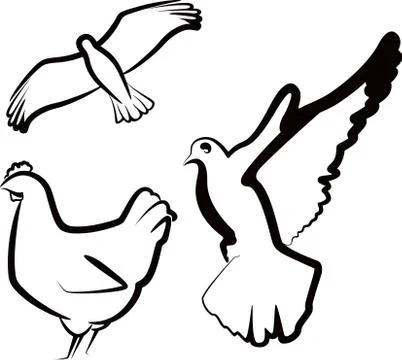 Simple illustration with birds Stock Illustration