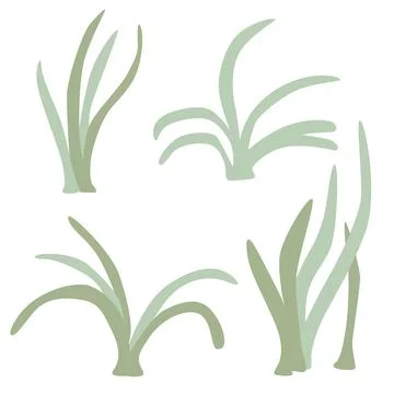 Simple illustration of four stylized grass tufts in varying shades of green.. Stock Illustration
