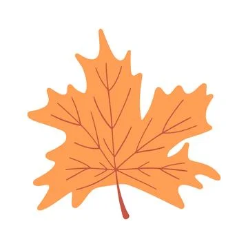Simple illustration of an orange maple leaf, symbolizing autumn. The design is Stock Illustration