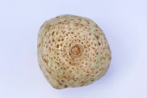 Simple image of celeriac against plain white background with copyspace Stock Photos