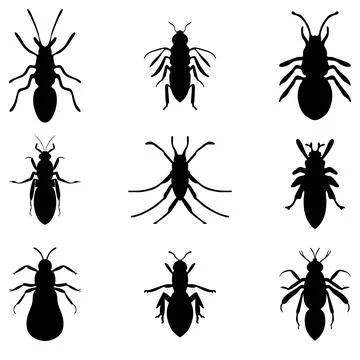 Simple insect illustration design set Stock Illustration