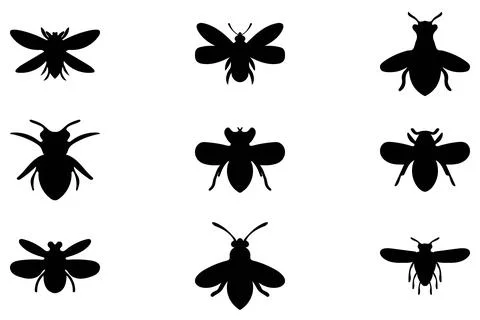 Simple insect illustration design set Stock Illustration