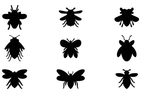 Simple insect illustration design set Stock Illustration