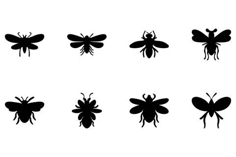 Simple insect illustration design set Stock Illustration
