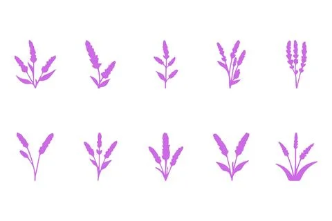 Simple lavender flower icon set Stock Illustration