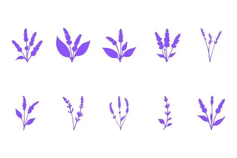 Simple lavender flower icon set Stock Illustration