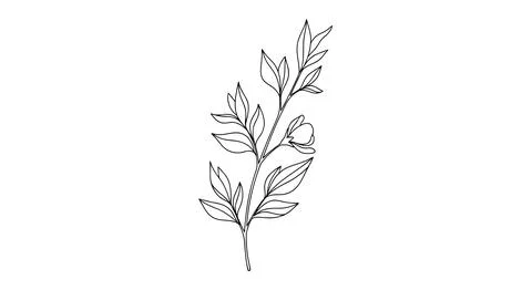 Simple leaf branch line drawing Stock Illustration