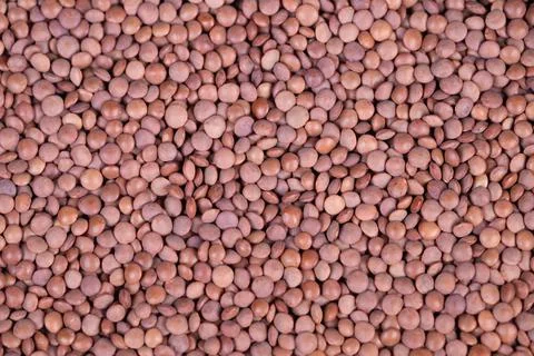 Simple lentil pattern. textured pattern for wallpapers or fabrics design. lentil Stock Photos