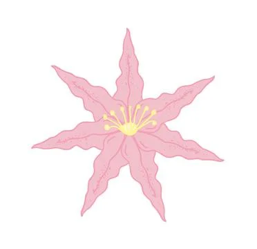 Simple lily icon isolated on white background. Vector art Illustrazione stock