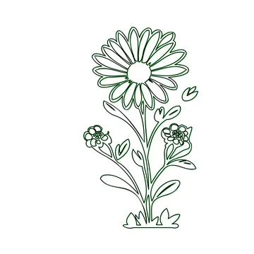 Simple Line Art Drawing of a Daisy Flower Stock Illustration