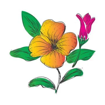 Simple line art Flower Vector Illustration Stockillustratie
