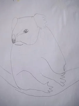 Simple line drawing of a cute koala sitting on a branch, showcasing its Stock Photos