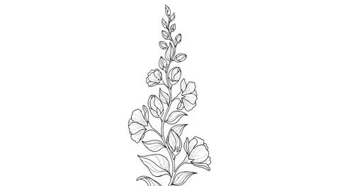Simple line drawing of flowers and leaves Stock Illustration