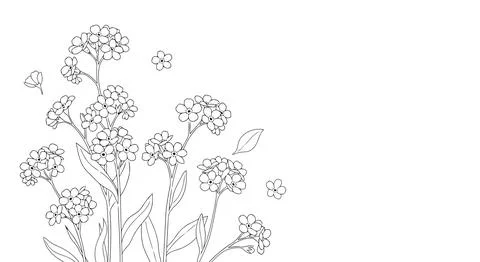 Simple line drawing of flowers on white Stock Illustration