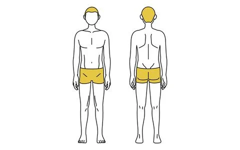 Simple line drawing, front and back view of man in underwear, boxer shorts Stock Illustration