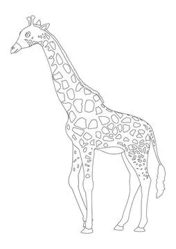 Simple line drawing of a giraffe standing in a natural pose Stock Illustration