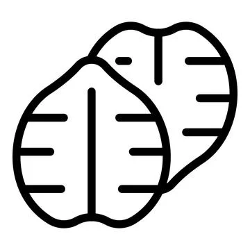 Simple line drawing icon of two walnut halves Stock Illustration