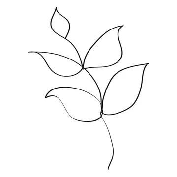 Simple line drawing of a leaf branch on white background Stock Illustration