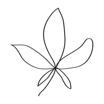 Simple line drawing of a leaf with five leaflets Stock Illustration