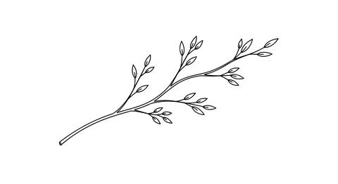 Simple line drawing of a leafy branch Stock Illustration