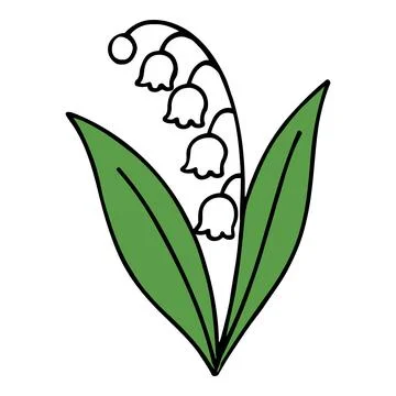 Simple Line Drawing of Lily of the Valley Flowers Stock Illustration