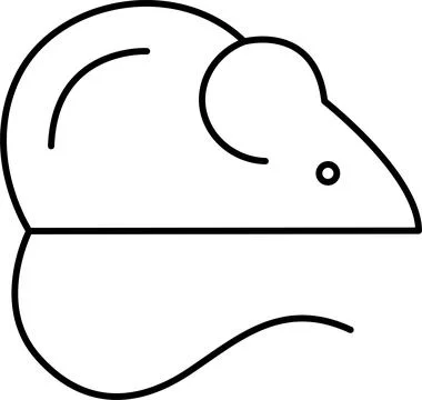 Simple line drawing of a mouse Vector Stock Illustration