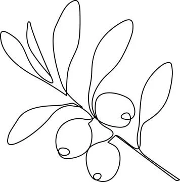 Simple line drawing of olive branch Vector 스톡 일러스트